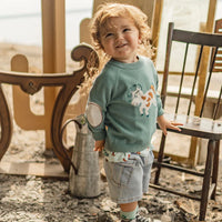 Turquoise knit sweater with horse pattern, baby
