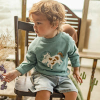 Turquoise knit sweater with horse pattern, baby