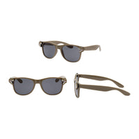 Boys Sunglasses Kids with Brown Dino on Sunnies and Zip Case