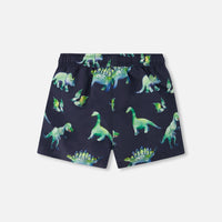 Mid-Thigh Boardshort Grey Printed Dinosaurs