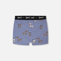 Organic Cotton Boxer Blue Dog Print