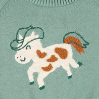 Turquoise knit sweater with horse pattern, baby