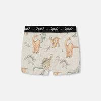 Printed Organic Cotton Boxer Shorts Dinosaur On Mottled And Tan Background