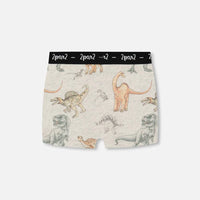 Printed Organic Cotton Boxer Shorts Dinosaur On Mottled And Tan Background