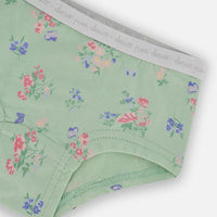 Printed Organic Cotton Boyshort Panty Small Pink And Blue Flowers On Light Sage