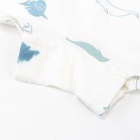 Bamboo Boys Boxer Briefs Underwear (2 Pack) - Belugas