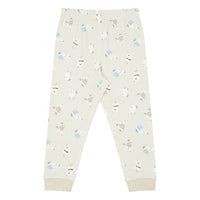 Organic Cotton Two-Piece Long Sleeve PJ Set - Winter Skate