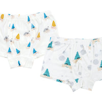 Bamboo Boys Boxer Briefs Underwear (2 Pack) - Hermit Crab