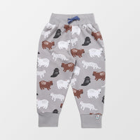 Animals Joggers