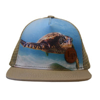Snapback cap (Turtle)