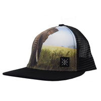 Snapback cap (Elephant)