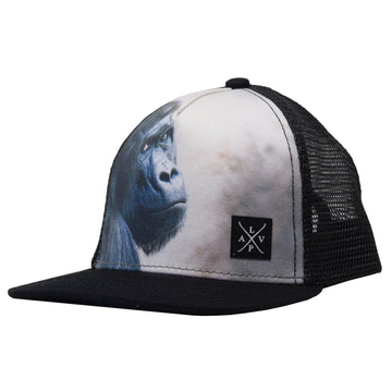 Snapback cap (Gorilla)