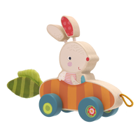 Bunny Pippa Push and Pull Toy