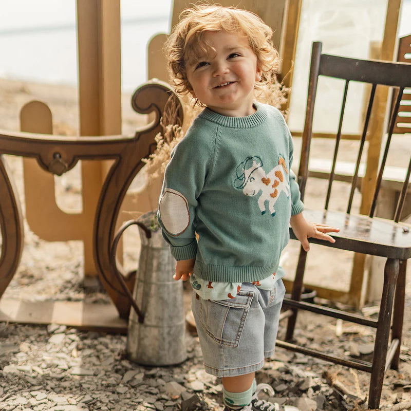Turquoise knit sweater with horse pattern, baby