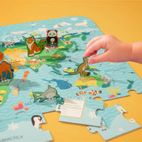 Animal Biomes: Animal Biomes