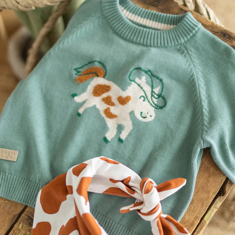 Turquoise knit sweater with horse pattern, baby