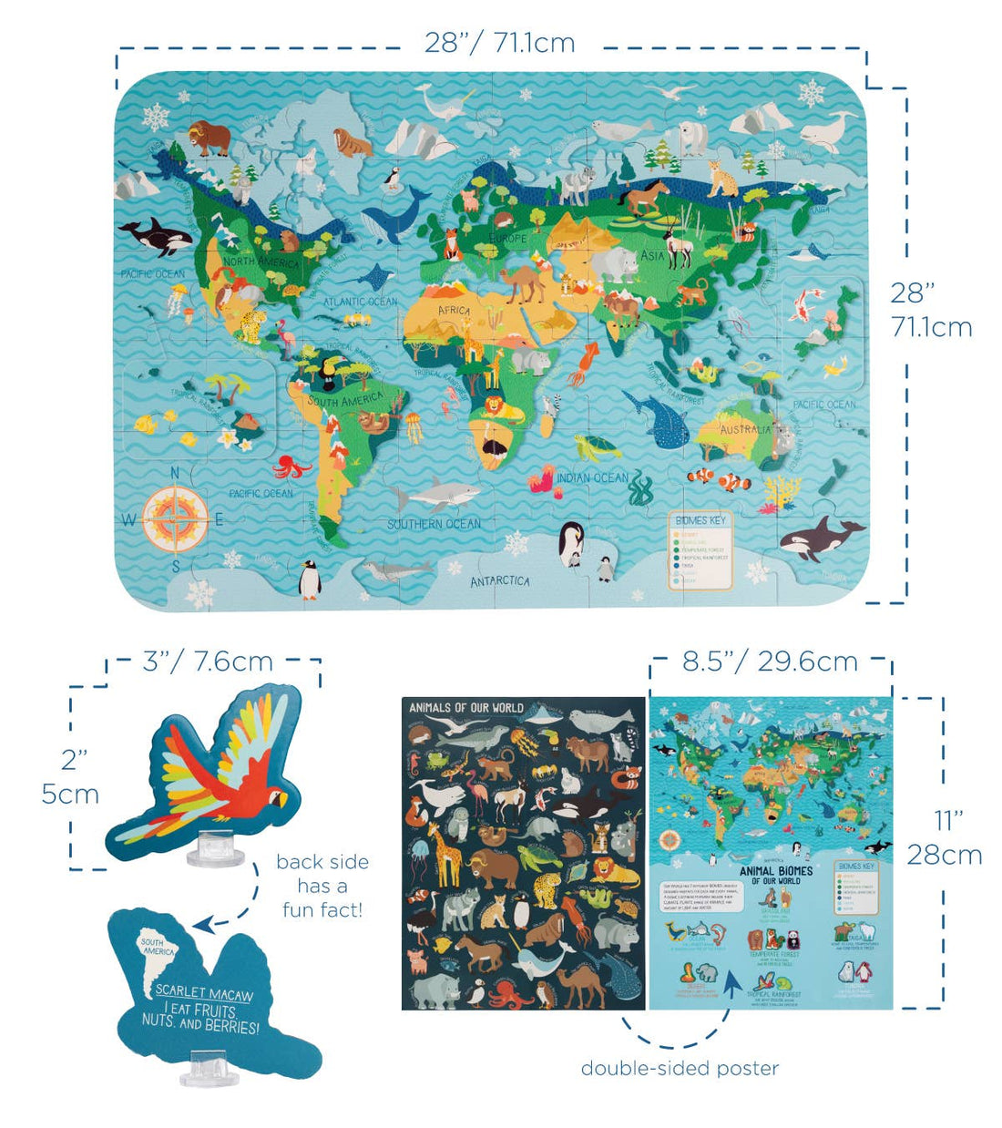 Animal Biomes: Animal Biomes