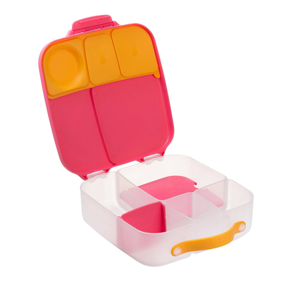 Lunchbox: Sugar Plum