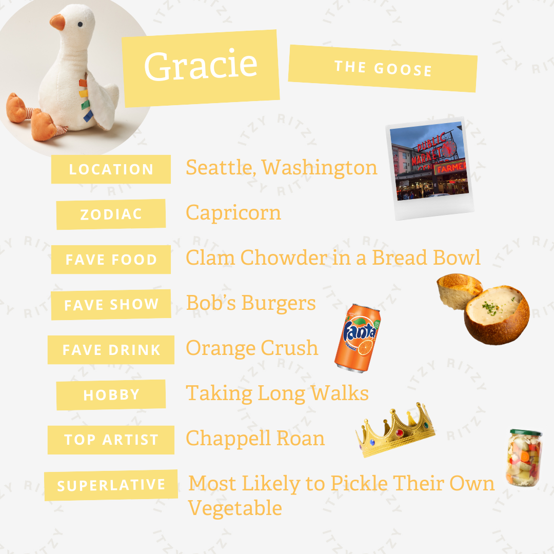 Sweetie Snuggles™ Plush - Gracie the Goose