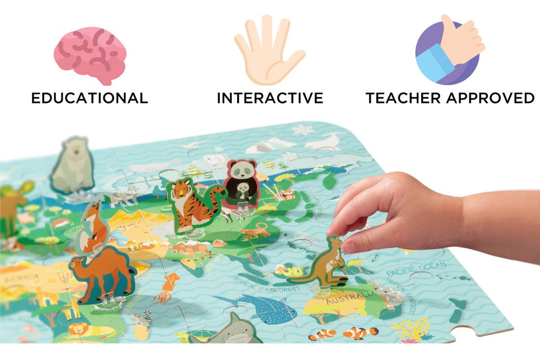 Animal Biomes: Animal Biomes