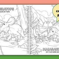 Dinosaurs Sticker Activity Book