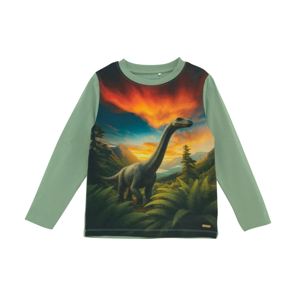 T-Shirt LS - Dinosaur