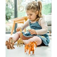 Jungle Animal 3D Models