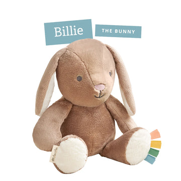 Sweetie Snuggles™ Plush - Billie the Bunny