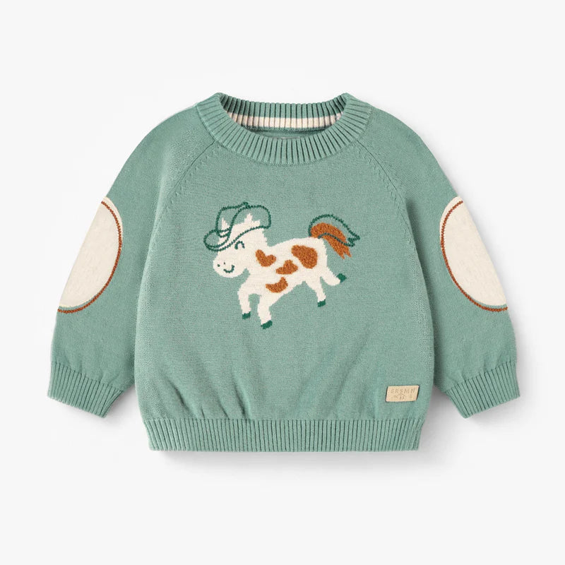 Turquoise knit sweater with horse pattern, baby