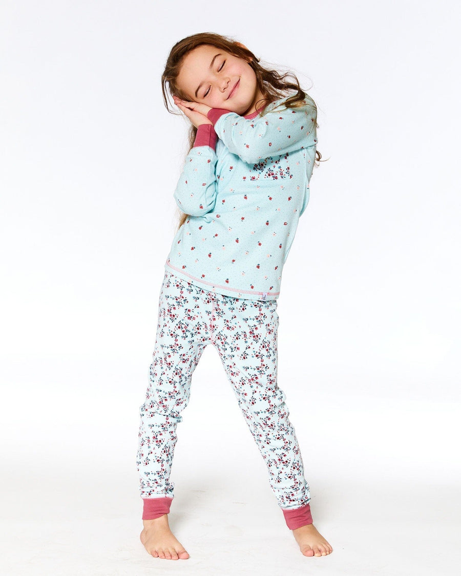 Organic Cotton Long Sleeve Two Piece Pajama Set Light Blue Floral Print