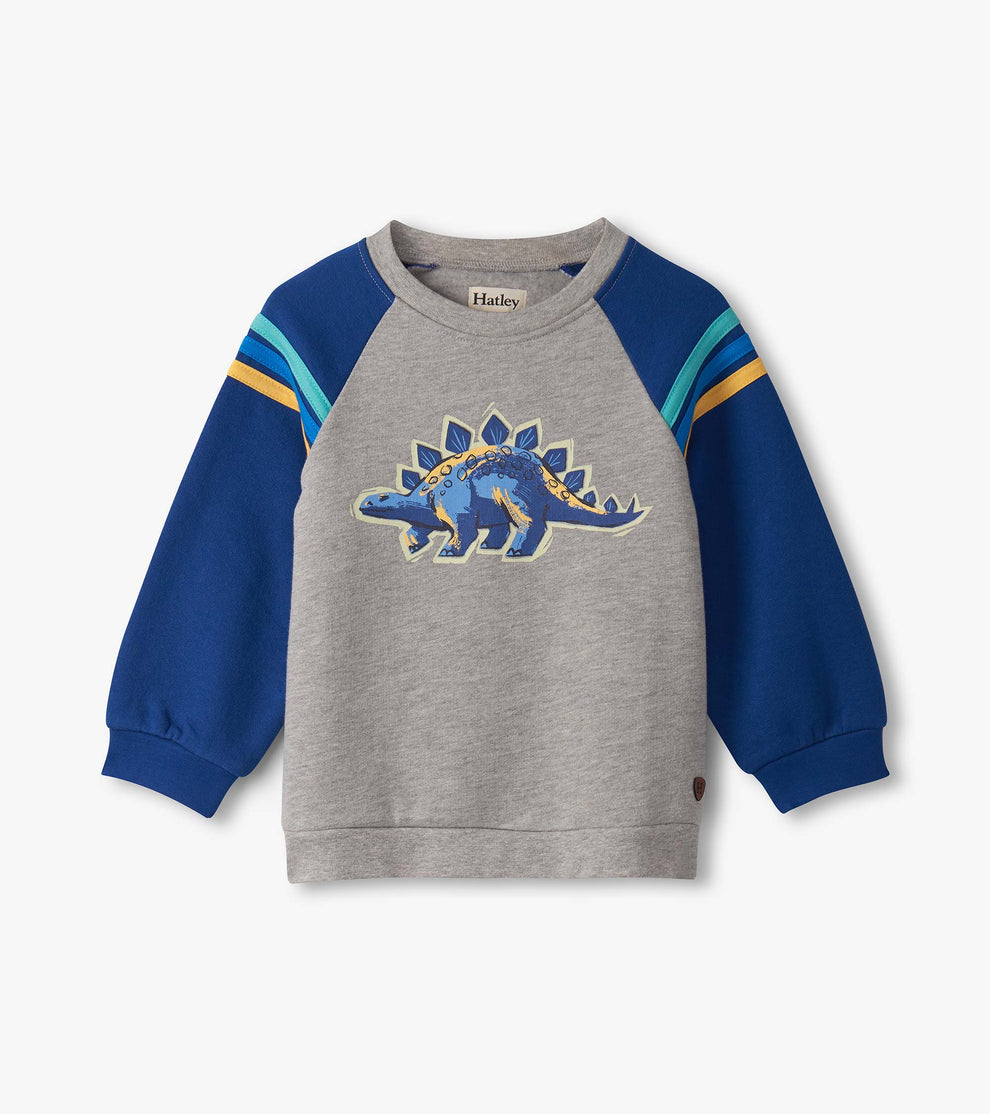 Baby & Toddler Glow in the Dark Dino Pullover Sweatshirt