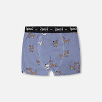 Organic Cotton Boxer Blue Dog Print