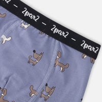 Organic Cotton Boxer Blue Dog Print