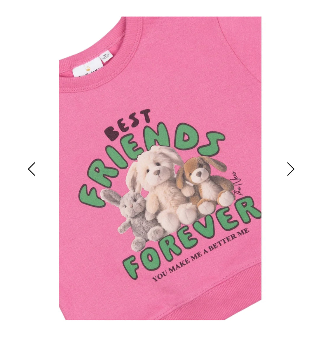 TNSTPriya Oversized Sweatshirt - Ibis Rose