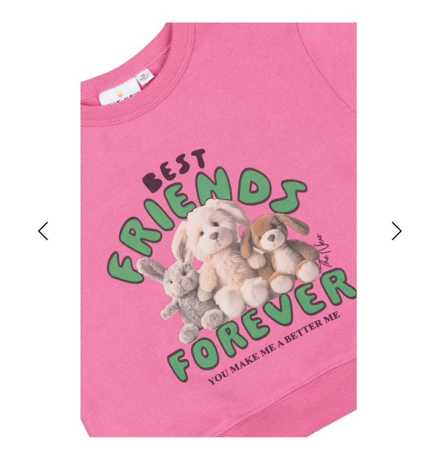 TNSTPriya Oversized Sweatshirt - Ibis Rose