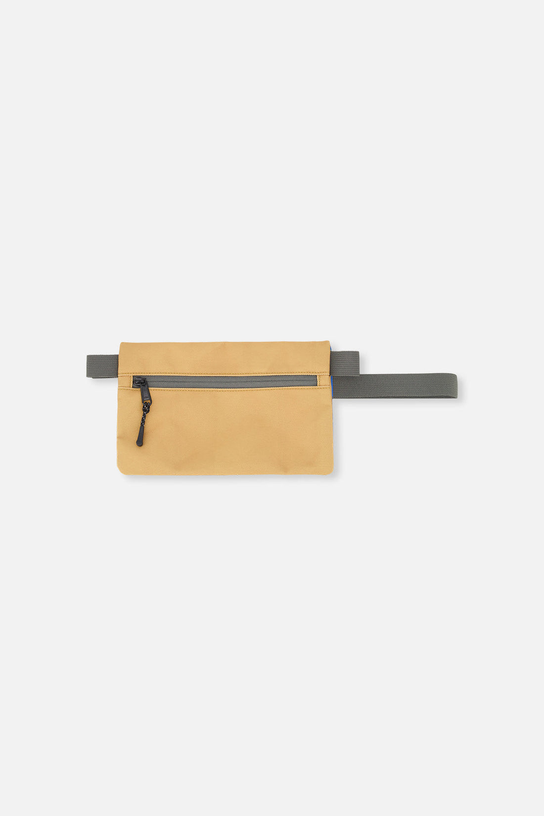 Pencil Case Blue Dinosaur Print