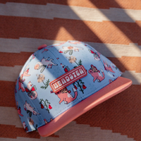 Purrfectly Magical Snapback - Periwinkle