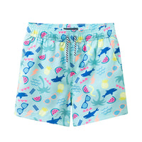 Boys Comfort-Stretch Lined Boardshort | Beach Icon