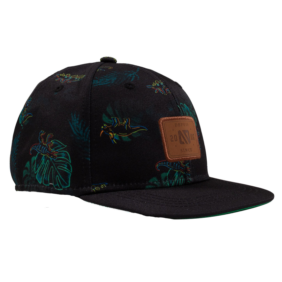 Black Dino Cap