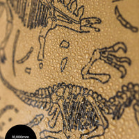 All-Weather Hoodie - Dino Bones