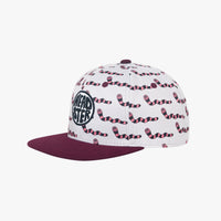 Worms Snapback