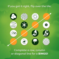 Animals Around the World Bingo