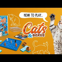 CATS & BOXES