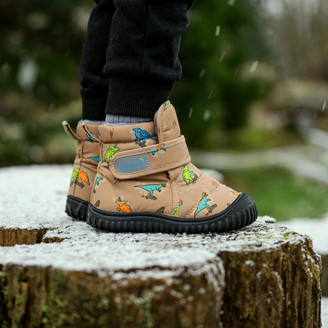 Toasty-Dry Booties | Skater Dinos