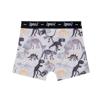 Printed Boxer, AOP Fossil