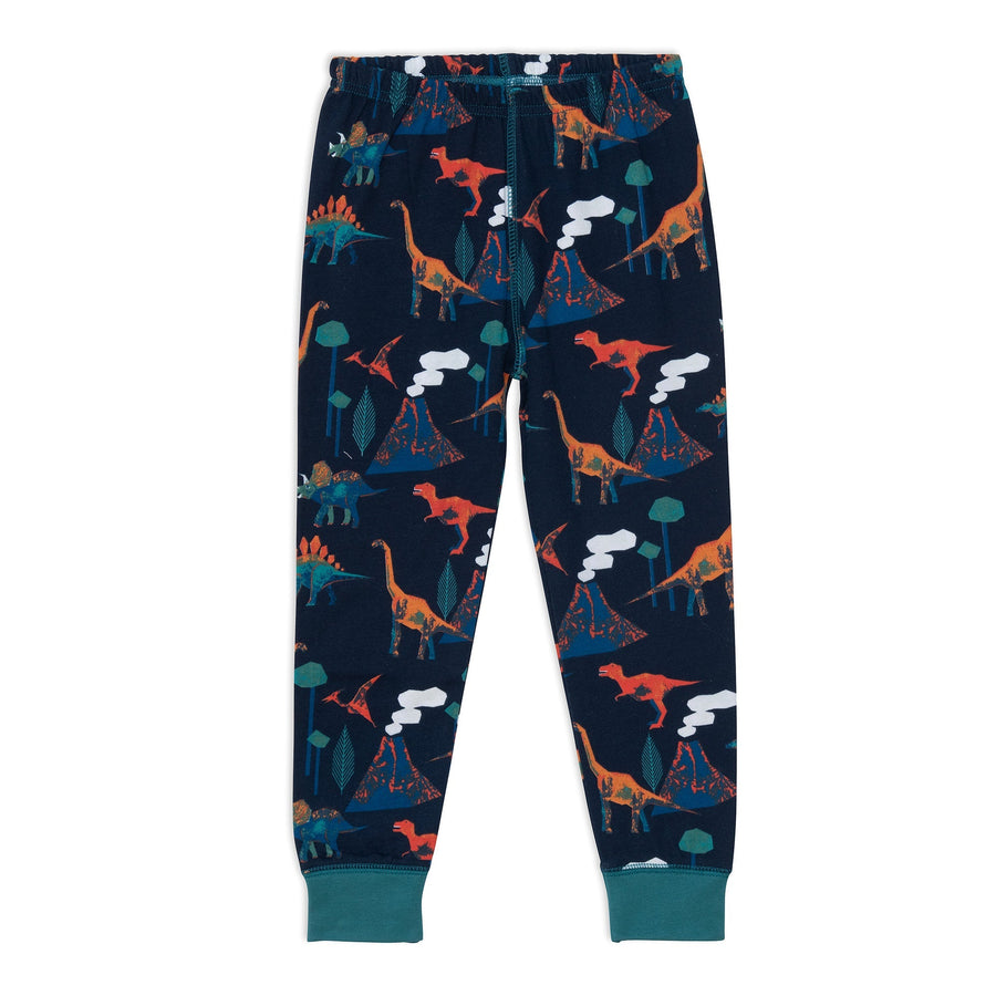 Organic Cotton Two Piece Pajama Set With Dinosaur Print