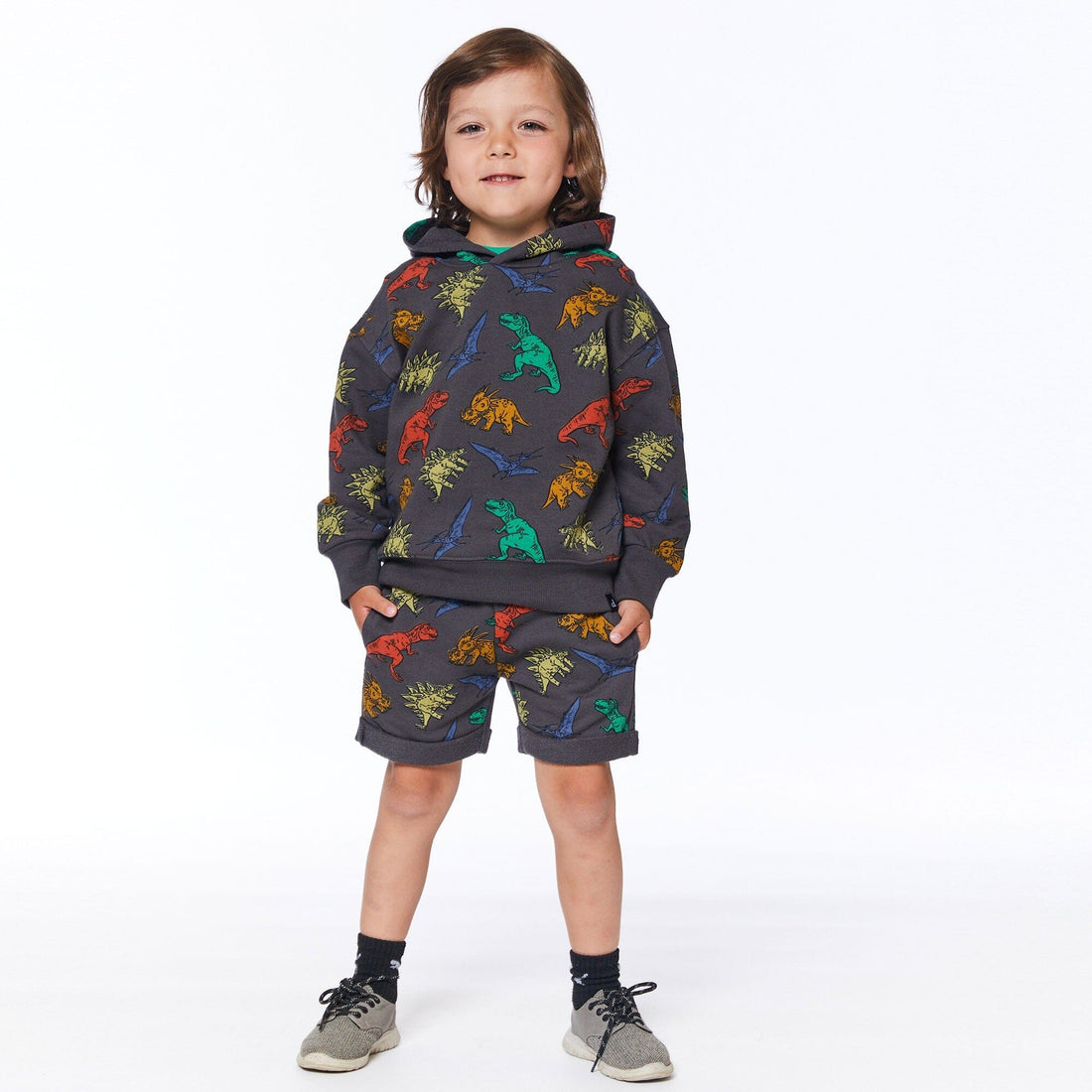 Printed French Terry Top With Hood Charcoal Grey Multicolor Dinosaurs