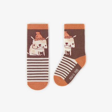 BROWN FUNNY DOGS SOCKS, BABY
