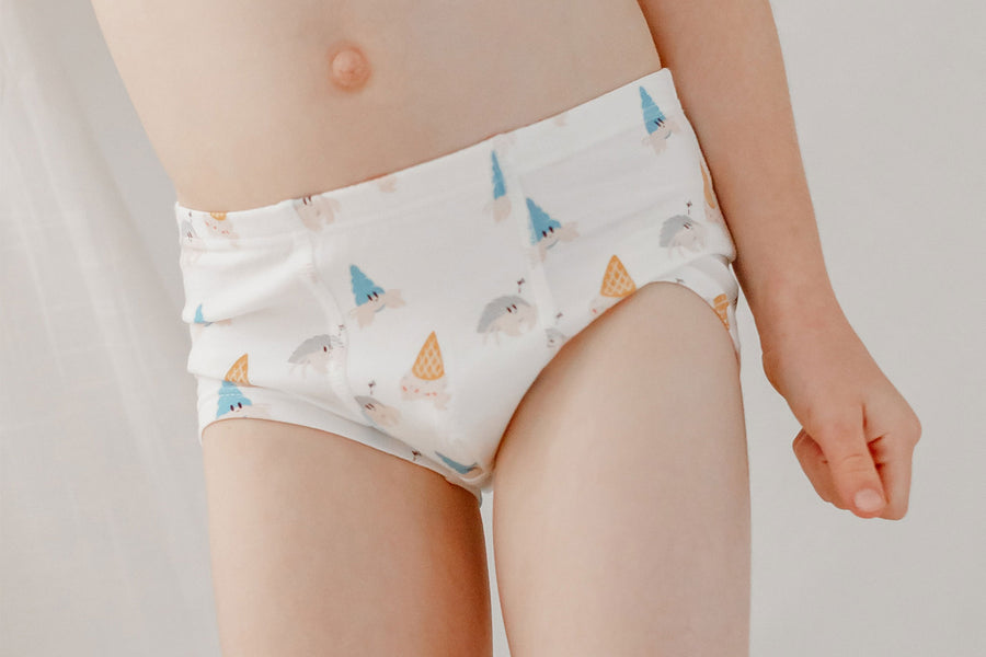 Bamboo Boys Boxer Briefs Underwear (2 Pack) - Hermit Crab