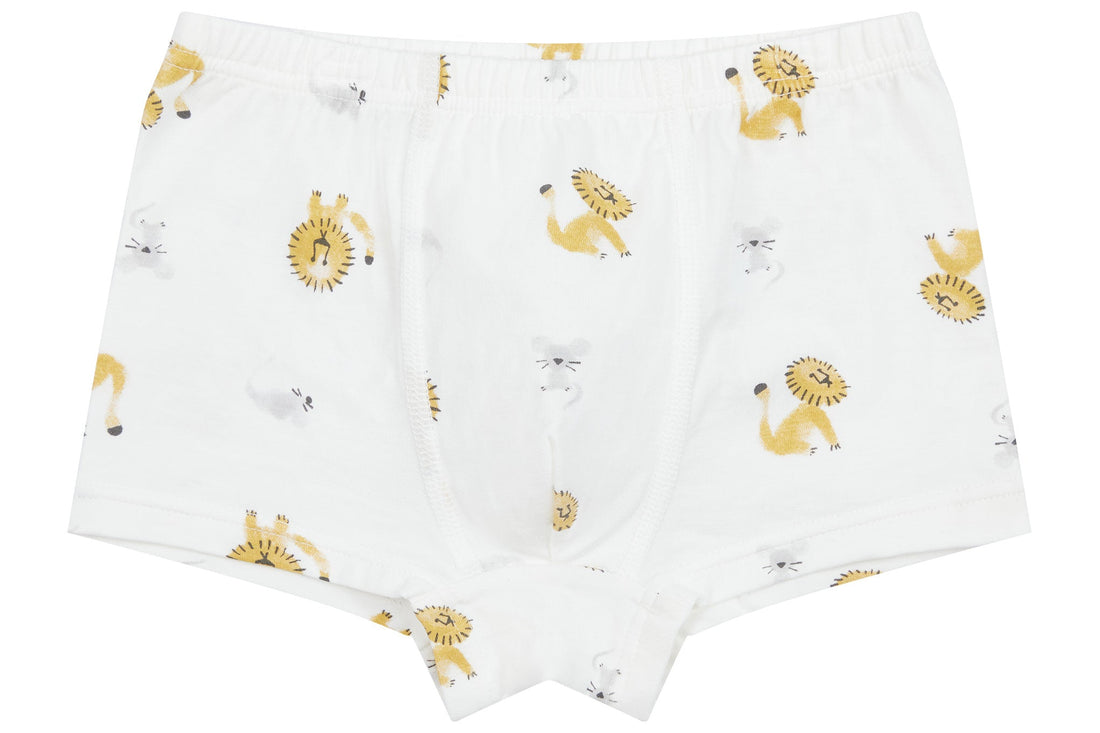 Bamboo Boys Boxer Briefs Underwear (2 Pack) - The Lion & The Goose